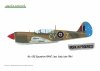 Eduard R0025 P-40N WARHAWK ROYAL CLASS DUAL COMBO 1/48